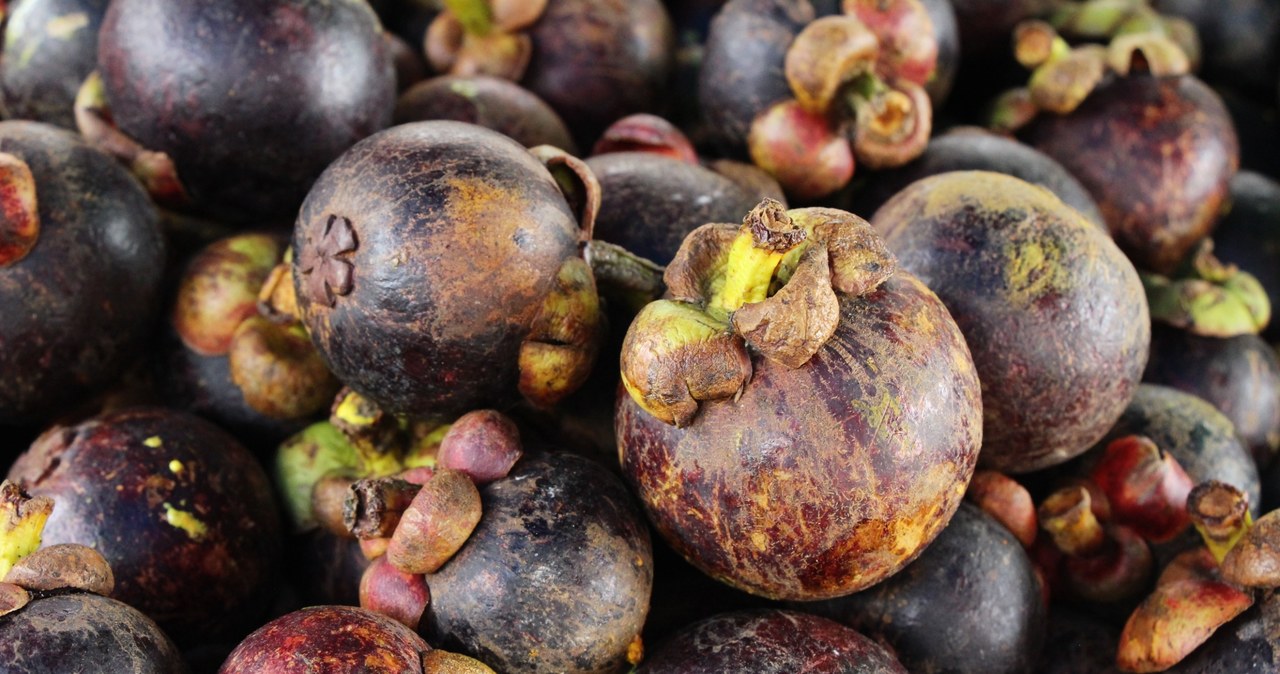 Mangostan uchodzi za najsmaczniejszy egzotyczny owoc. A czy najzdrowszy? Wymieniamy jego właściwości /123RF/PICSEL