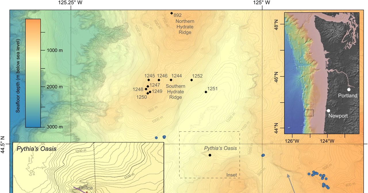 Mapa lokalizacji Oazy Pytii /Brendan T. Philip et al., 2023/CC BY 4.0 /materiał zewnętrzny