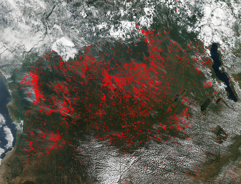 Mapa NASA ilustrująca pożary w środkowej Afryce /NASA