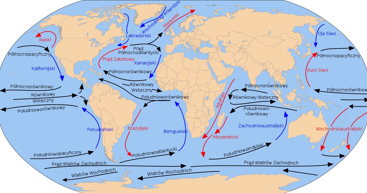 Mapa prądów morskich. Wokół Antarktydy przepływa prąd okołobiegunowy /Popadius/Szczureq/Wikimedia Commons /domena publiczna