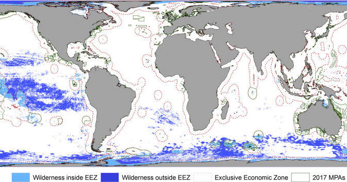 Mapa prezentująca dziewicze obszary morskie na Ziemi /materiały prasowe