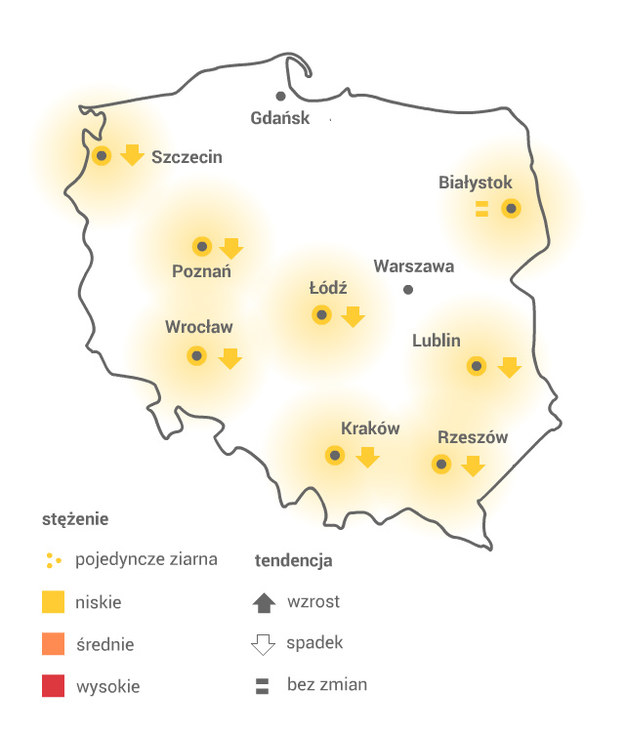 Mapa pylenia olszy /Grafika RMF FM /