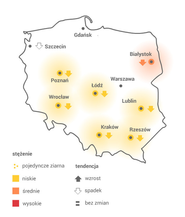 Mapa pylenia topoli /Grafika RMF FM /