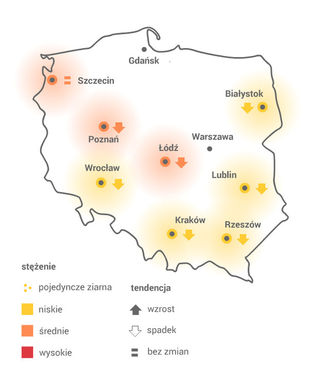 Mapa pylenia wierzby /Grafika RMF FM /