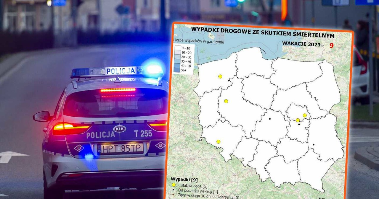 Mapa Wypadków Drogowych będzie regularnie aktualizowana /Stanisław Bielski/Reporter /East News