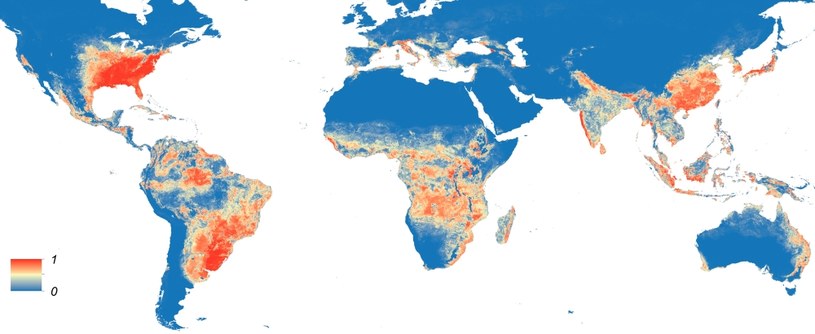 Mapa występowania gatunku Aedes albopictus /Wikimedia Commons /domena publiczna