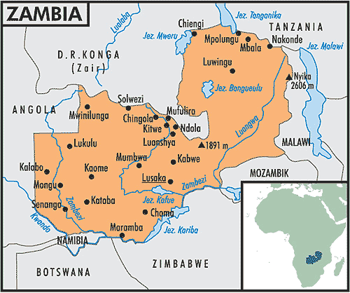 betolimp zambia