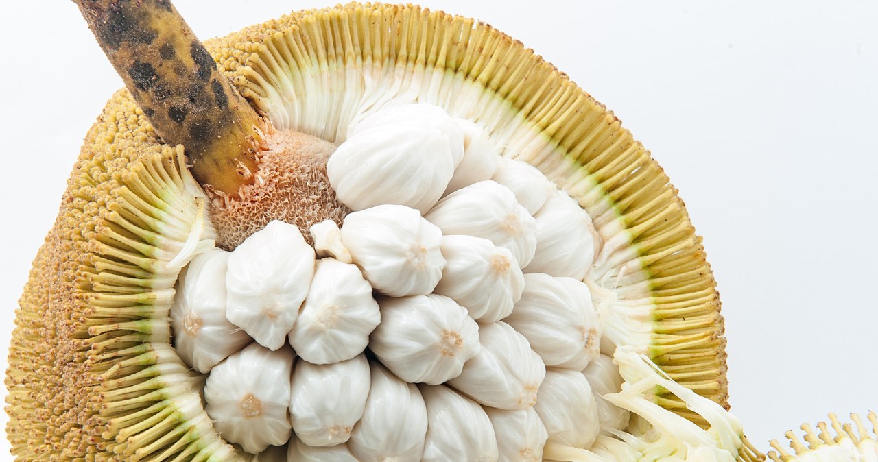 Marang jest niezwykle słodki i delikatny, często opisywany jako połączenie banana, ananasa /123RF/PICSEL