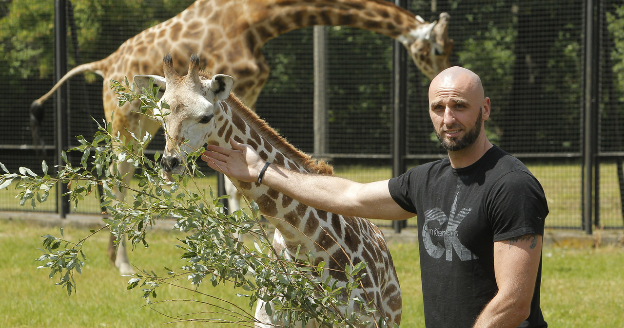 Marcin Gortat z Gortatem /Krzemiński /AKPA