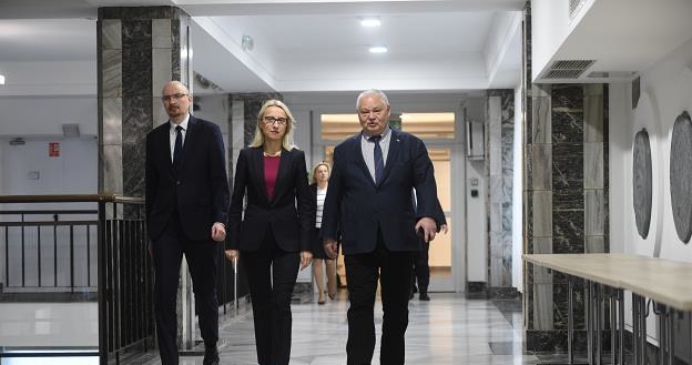 Marcin Pachucki, Teresa Czerwińska i Adam Glapiński w drodze na spotkanie informacyjne KSF /East News