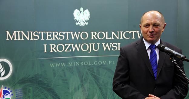 Marek Sawicki, minister rolnictwa i rozwoju wsi /PAP