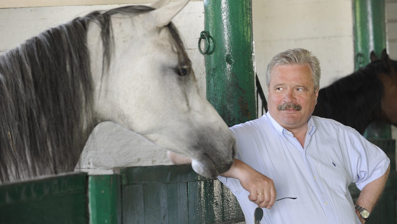 Marek Trela o stadninach koni arabskich: Ignorancja i brak profesjonalizmu