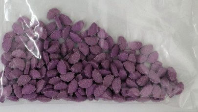 Marihuana, LSD, amfetamina - policjanci znaleźli 3 kg narkotyków