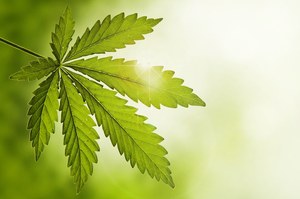 Marihuana sposobem na bolesną menstruację