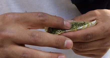 Marihuana to tylko "niewinna trawka"? /AFP