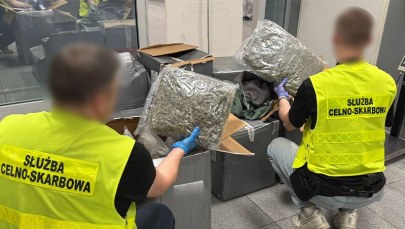 Marihuana ukryta w ubraniach. Spektakularna akcja służb na Mazowszu