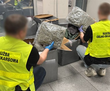 Marihuana ukryta w ubraniach. Spektakularna akcja służb na Mazowszu