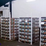 Marihuana w pomarańczach. Udaremniono przemyt 177 kg narkotyków