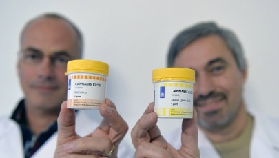 Marihuana znacznie zmniejsza liczbę napadów padaczki u dzieci