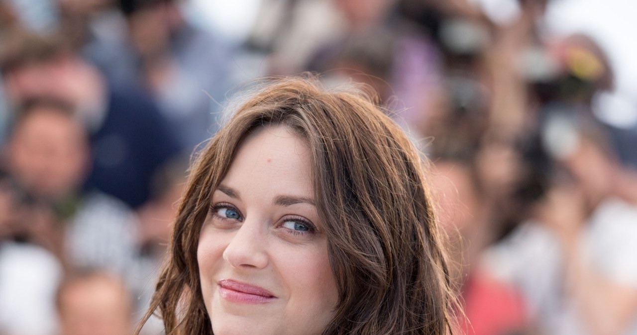 Marion Cotillard /Abaca Press  /Agencja FORUM