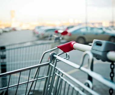 Markety budowlane przeniosły się na parkingi. Związkowcy z Castoramy protestują