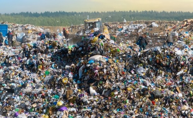 Marnujemy żywność na potęgę. Zatrważające dane z Polski i UE