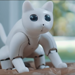MarsCat – pierwszy bioniczny kot domowy