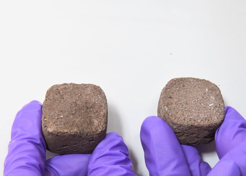 Marsjańskie cegły będą zrobione z moczu astronautów - to już pewne /materiały prasowe
