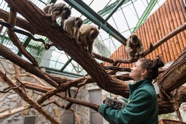 Marta Zając-Ossowska we wrocławskim zoo /Materiały prasowe