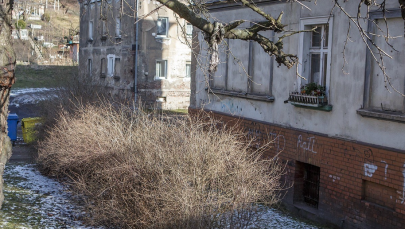Martwe dziecko porzuciła w krzakach. Nie wiedziała, że jest w ciąży