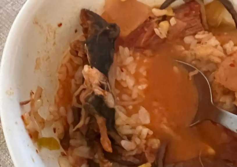 Martwy szczur znaleziony w zupie na wynos /Instagram/eunichiban /