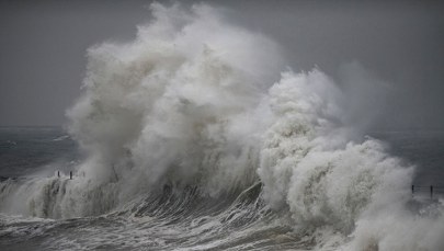 Marynarz wypadł za burtę, nadano sygnał "mayday". Akcja ratunkowa na Morzu Północnym