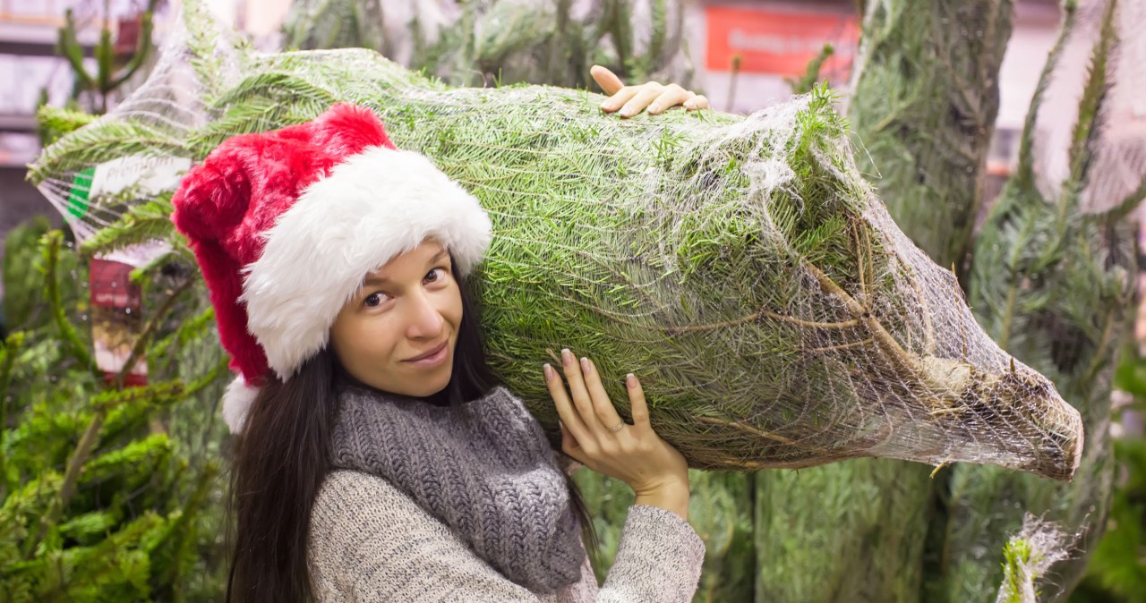 ​Marzysz o takiej choince w domu? Uważaj, kary mogą być gigantyczne /123RF/PICSEL