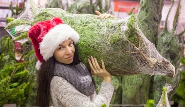 ​Marzysz o takiej choince w domu? Uważaj, kary mogą być gigantyczne