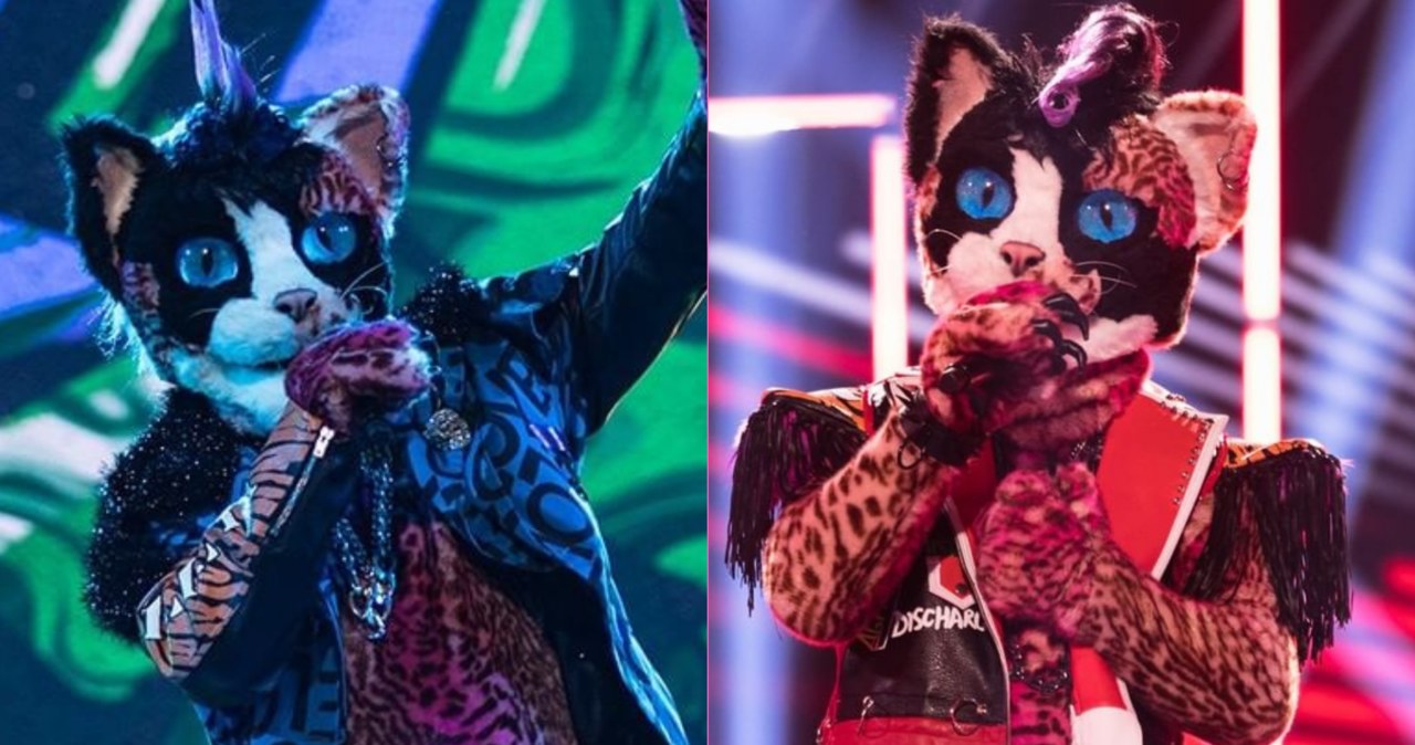 "Mask Singer" - kim jest kot? /@masksinger_tvn /Instagram