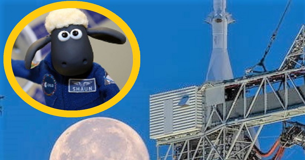 Maskotka owcy Shaun poleci jako część bagażu księżycowej misji NASA Artemis 1 /materiały prasowe