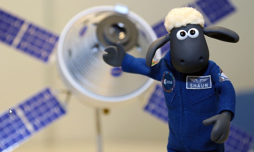 Maskotka owieczki Shaun jest oczywiście w barwach Europejskiej Agencji Kosmicznej. I w takiej wersji poleci w podróż wokół Księżyca /domena publiczna