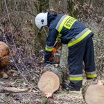 Masowa awaria, 32 tys. odbiorców bez prądu. "Wiele zależy od pogody"