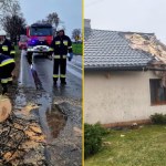 "Masowa awaria" na Pomorzu. Powalone drzewa, brak prądu i silny wiatr