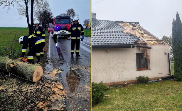 "Masowa awaria" na Pomorzu. Powalone drzewa, brak prądu i silny wiatr