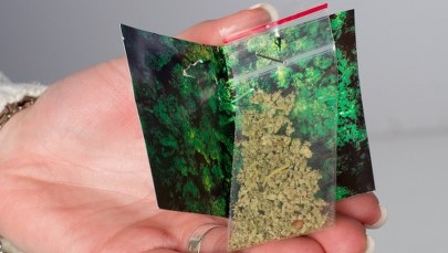 Masowe zatrucie dopalaczami w Katowicach