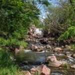 Masowy grób dinozaurów w "Rzece Śmierci". Tajemnica licząca 72 mln lat 