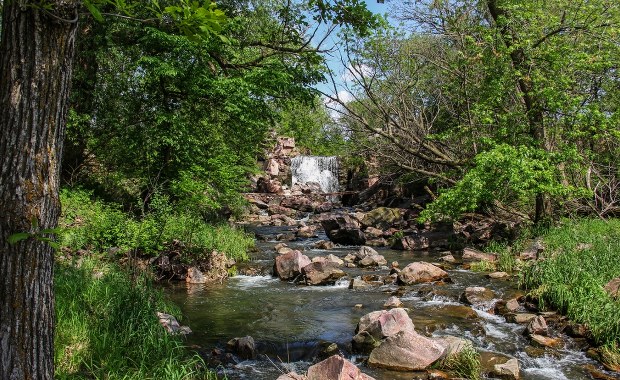 Masowy grób dinozaurów w "Rzece Śmierci". Tajemnica licząca 72 mln lat 