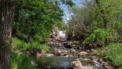 Masowy grób dinozaurów w "Rzece Śmierci". Tajemnica licząca 72 mln lat 