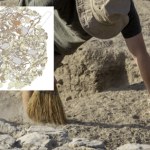 Masowy grób kobiet i dzieci. Ujawnia brutalność epoki żelaza