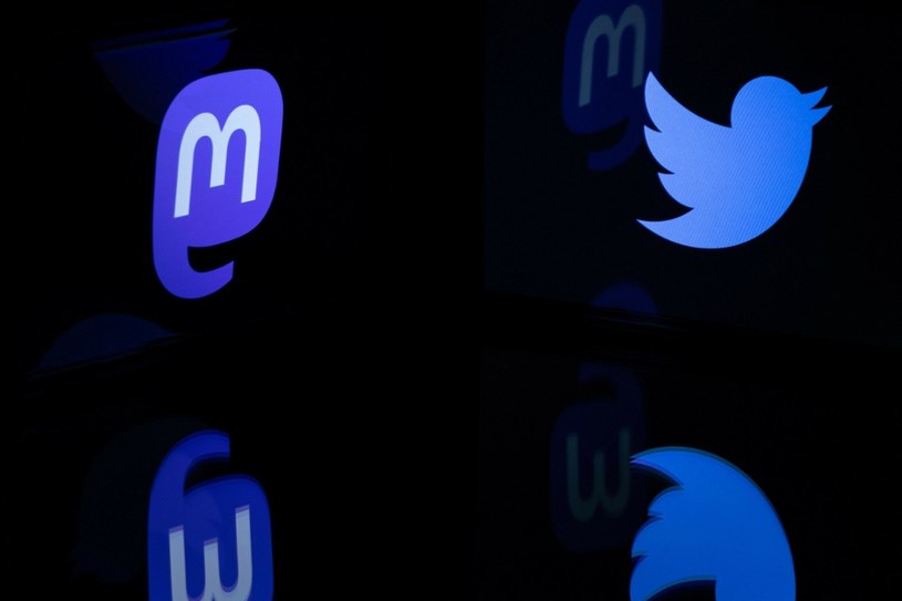 Mastodon zyskuje nowych użytkowników kosztem Twittera? Platforma Muska ma problemy! /JOEL SAGET/AFP/East News /East News