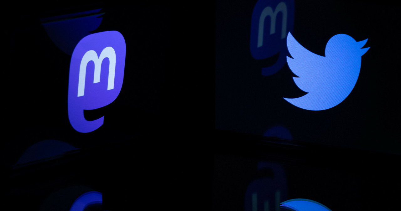 Mastodon zyskuje nowych użytkowników kosztem Twittera? Platforma Muska ma problemy! /JOEL SAGET/AFP/East News /East News
