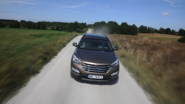Masywny przód Hyundaia z seryjnymi w odmianie Executive ksenonami oraz LED-ami do jazdy dziennej. /Motor