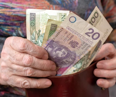 Masz 20 zł w portfelu? Lepiej sprawdź, czy na banknocie jest niepozorna nitka