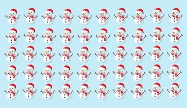 Masz bystre oko? Znajdź bałwana innego niż wszystkie